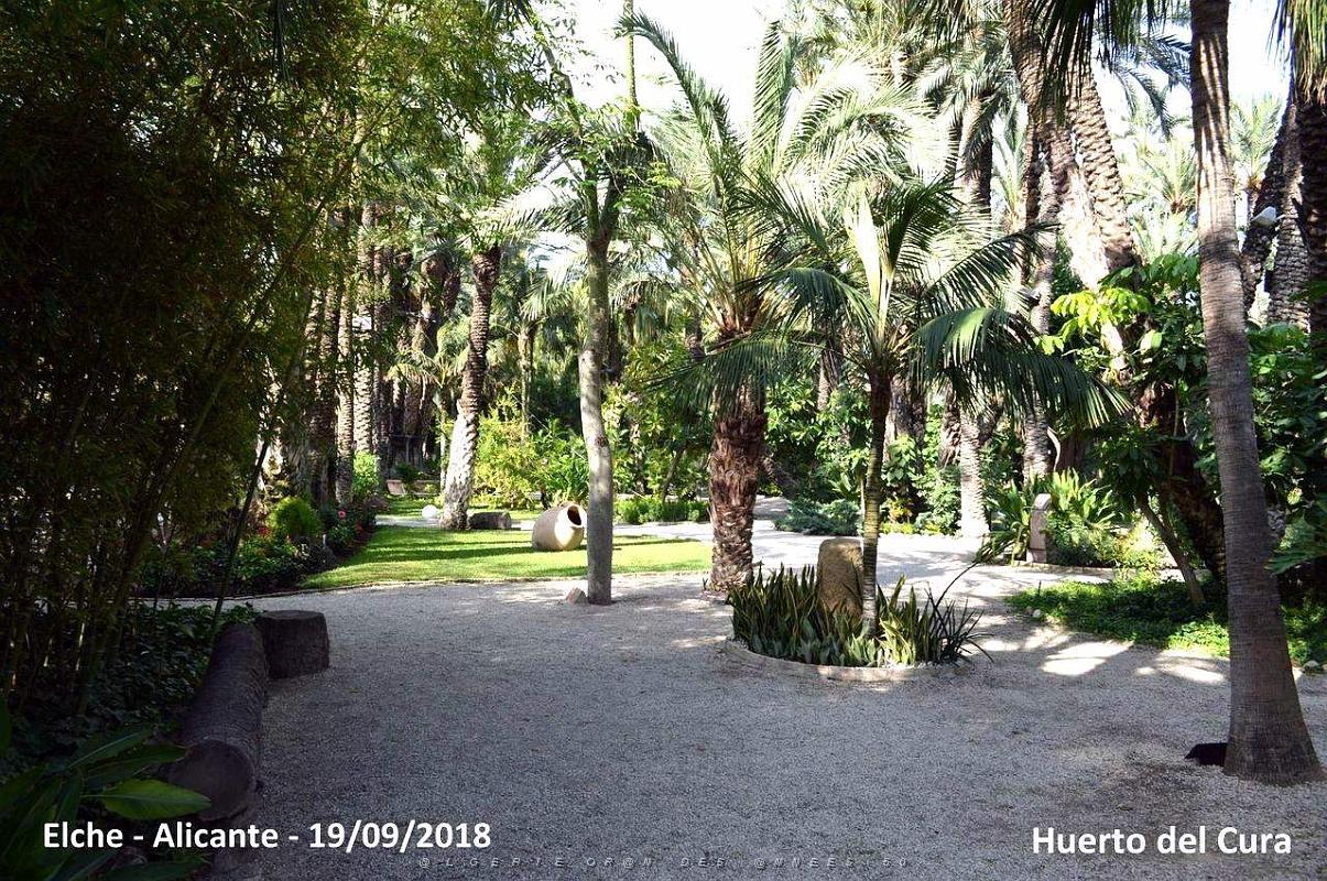 19 ELCHE HUERTO DEL CURA (12).JPG